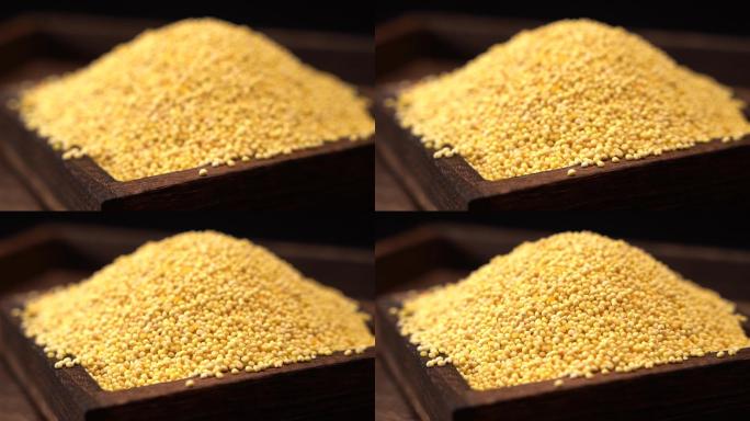 大黄米 小米 丰收