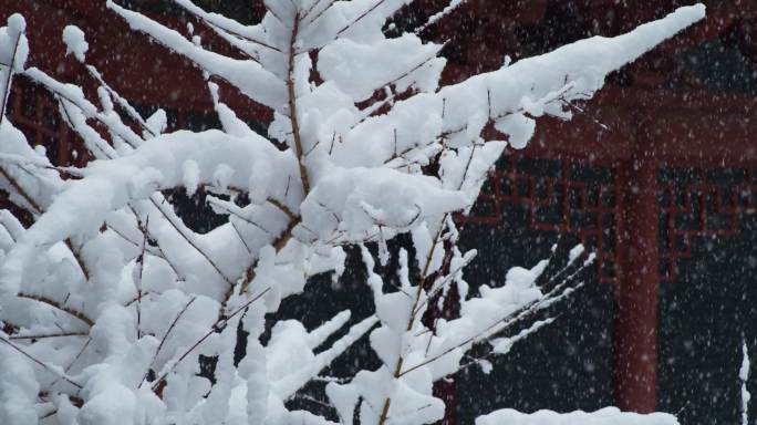 雪景 古建  大雪纷飞