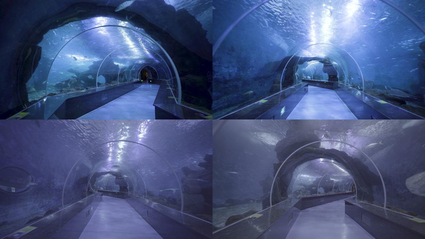 海底隧道海洋博物馆