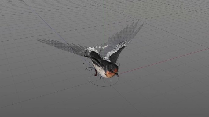燕子模型动画