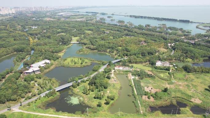 贡湖湾湿地公园