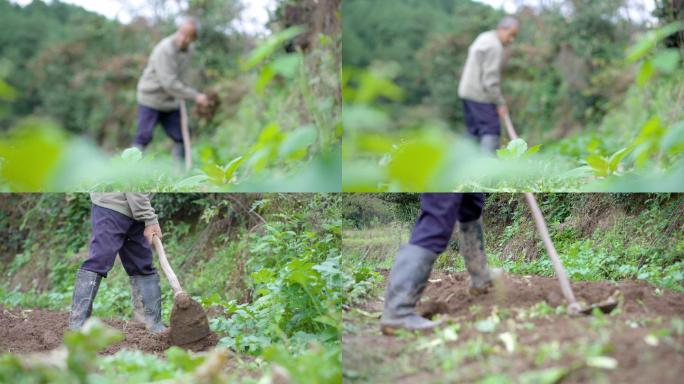 农民伯伯挖土种菜意象镜头