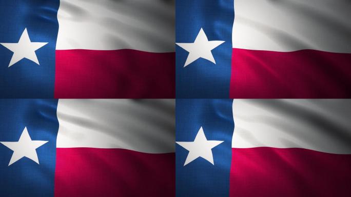 美利坚合众国德克萨斯州旗帜