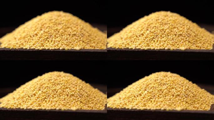 大黄米小米农作物