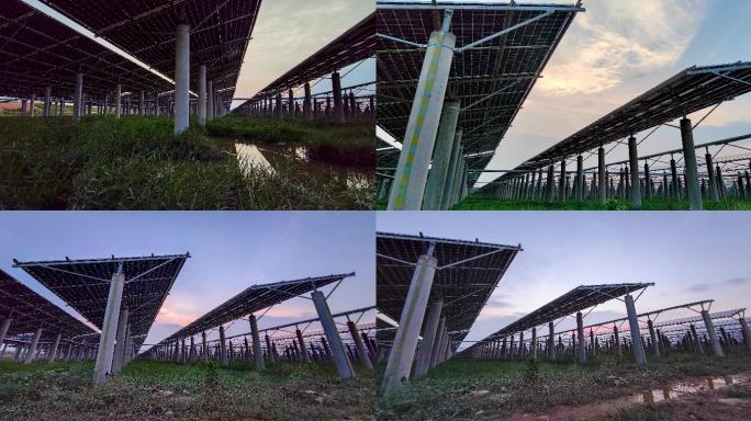 沼泽地上的太阳能发电