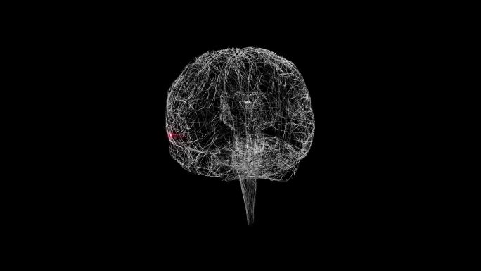 人脑脑电波