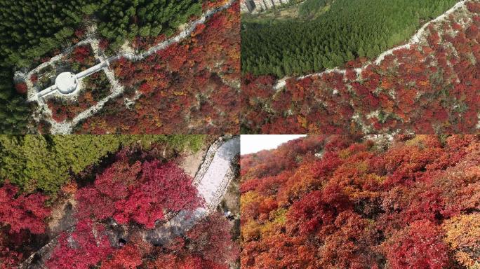 4K-秋色群山蝎子山红叶