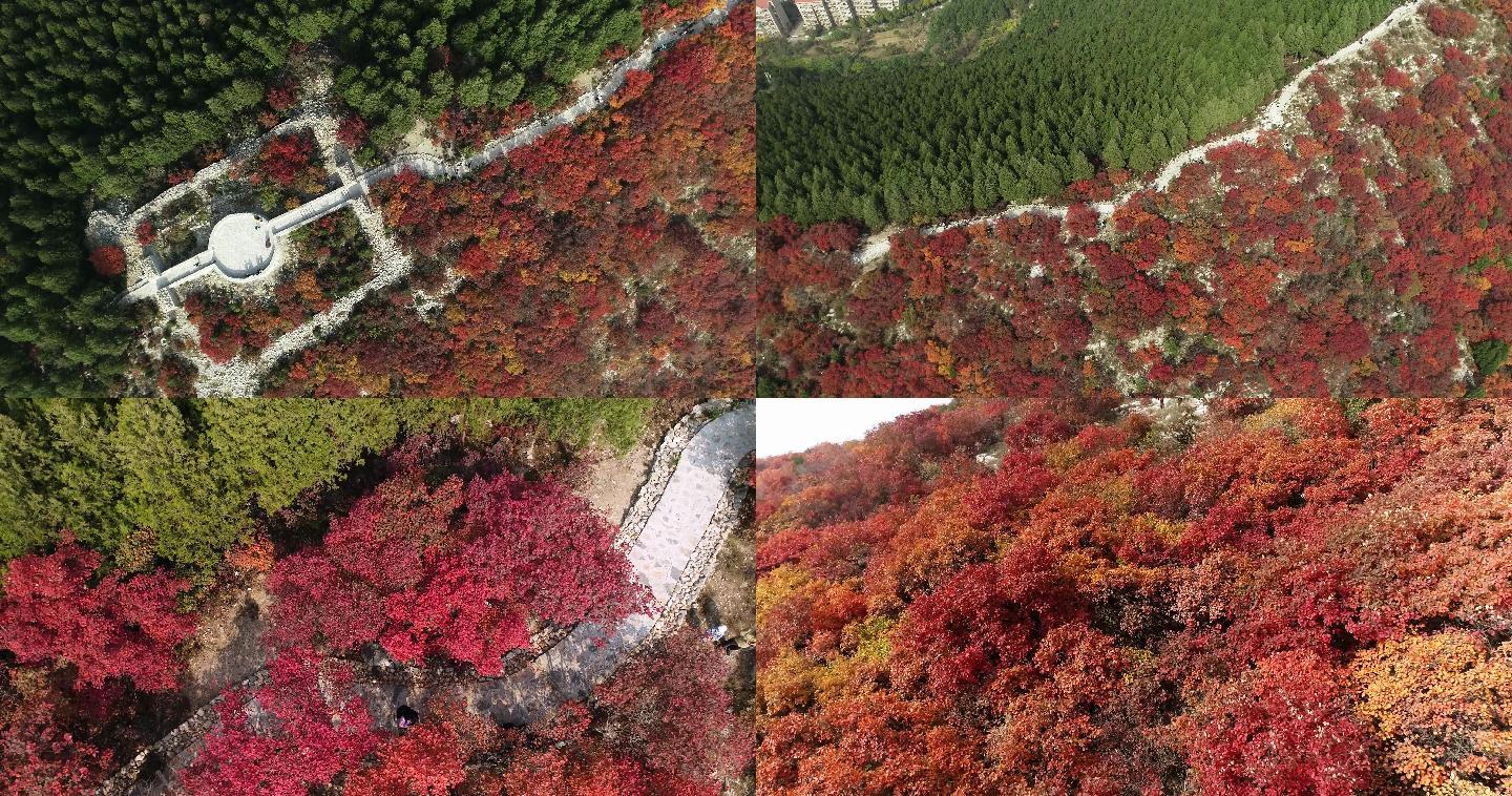 4K-秋色群山蝎子山红叶