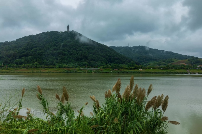 云雾缭绕青秀山龙象塔延时-01-02