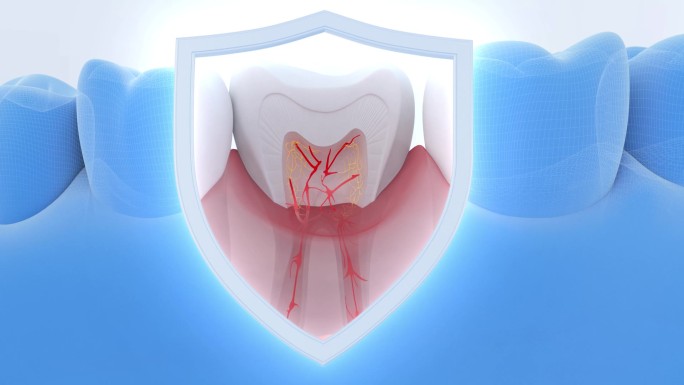 保护牙齿健康AE 模板