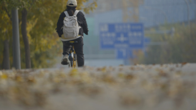 北京深秋，枯叶，街道落叶骑车女孩