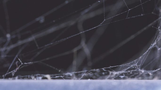 废弃房子角落的蜘蛛网