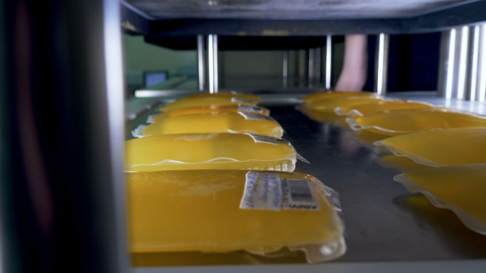许多装有血浆的袋子储存在实验室冰箱