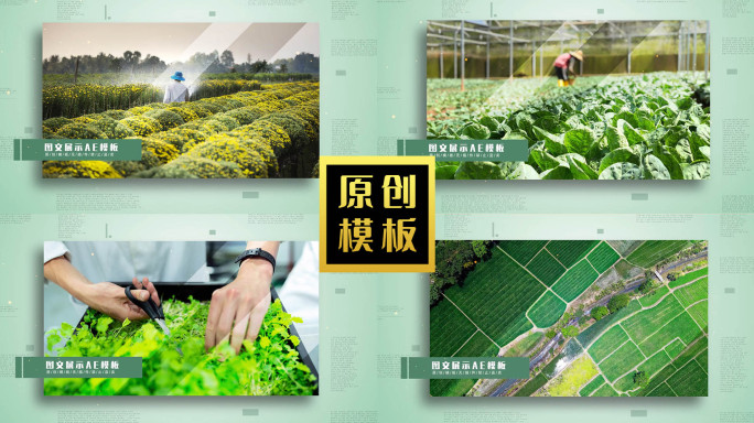 40图绿色生态农业图文展示AE模板