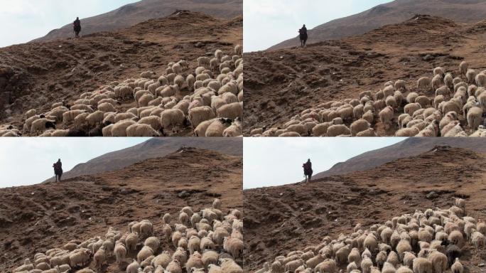 西藏羊湖骑马航拍