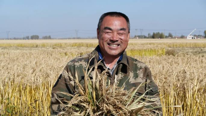 粮食 大米  丰收 水稻 农民 笑脸