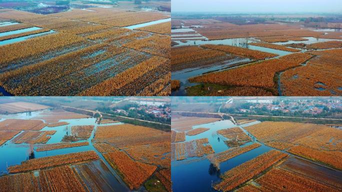 【4K航拍】洪涝灾害 农田被洪水淹没