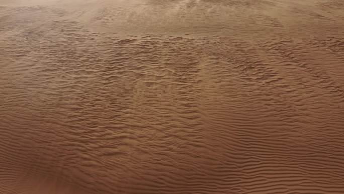 沙漠风沙 防沙治沙 环境治理抗旱环境保护