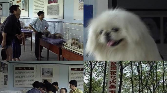 90年代中外名犬大联展