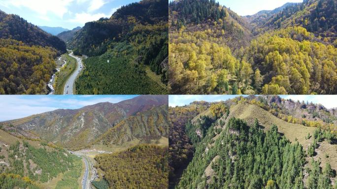 高原山林山谷公路秋色