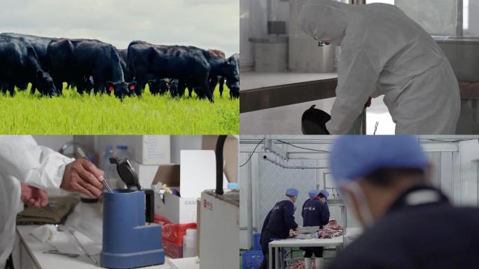 牛肉 生产加工监测