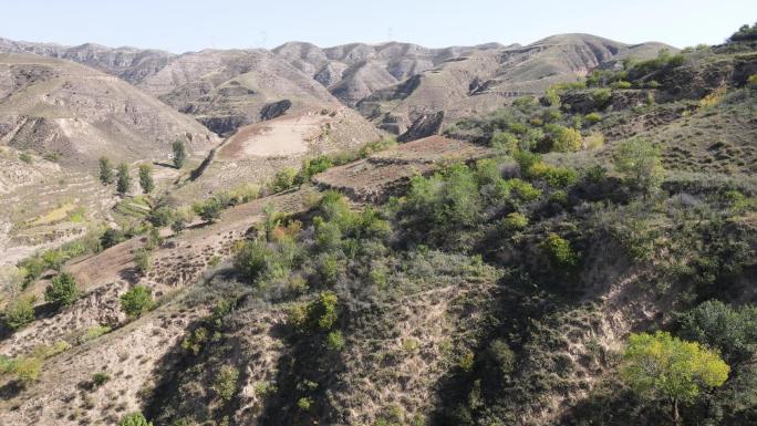 山西黄土高原退耕还林植树造林山坡绿化