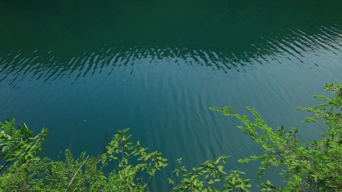 深绿色的湖面湖边长满了绿色的绿植