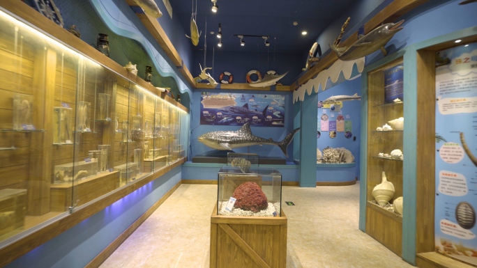 海洋科普馆海洋博物馆