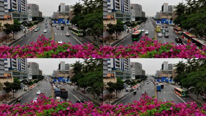 【原创】马路延时花城看花城市道路