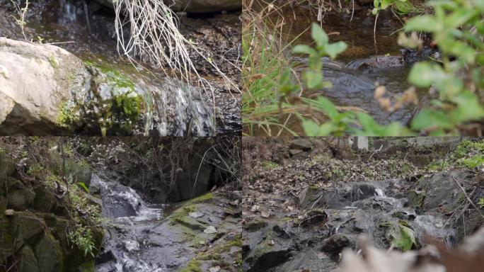 秋天的沂蒙山区小溪流水