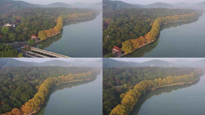 无锡太湖鼋头渚景区鼋渚路秋色