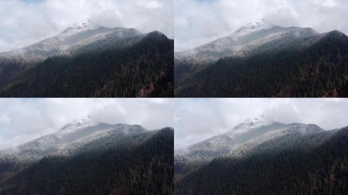 西藏 灵芝 河流 大桥 航拍 桃花 雪山