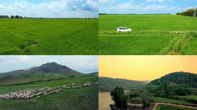 4k航拍农场养殖基地种植风景