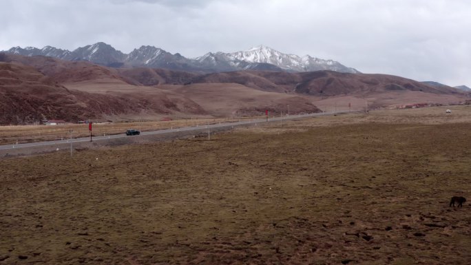 川西 航拍 雪山 冬季 旅行 牦牛 放牧