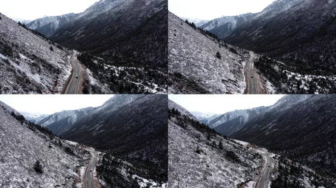 川西 航拍 雪山 冬季 旅行 牦牛 放牧