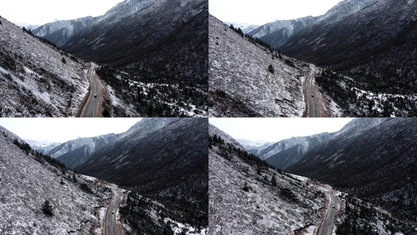 川西 航拍 雪山 冬季 旅行 牦牛 放牧