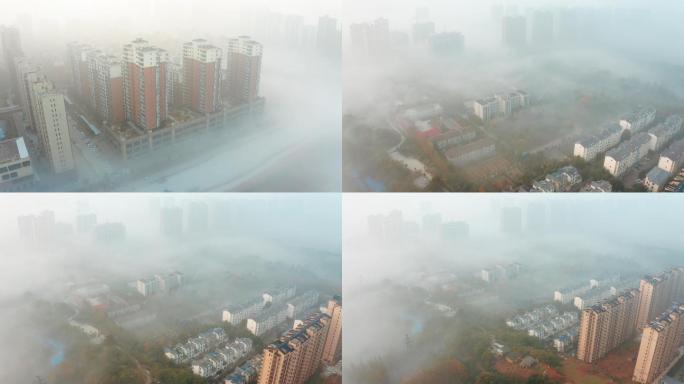 4K城市平流雾航拍
