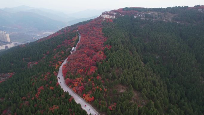 航拍济南蝎子山和蚰蜒山，半山青翠半山红