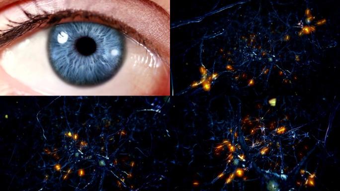 人眼放大到神经元细胞动画