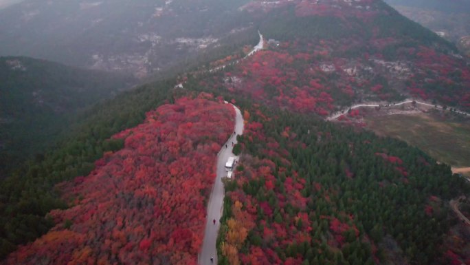 航拍济南蝎子山和蚰蜒山，半山青翠半山红