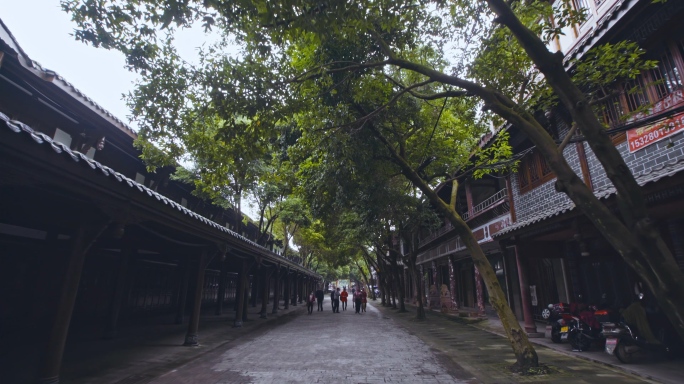 古镇林荫道路