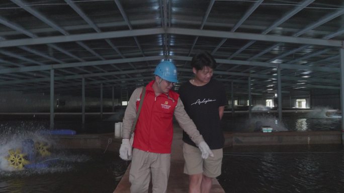 4K电力志愿服务渔民养殖场