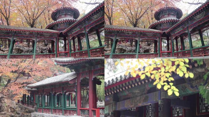 深秋的北京，皇家园林素材