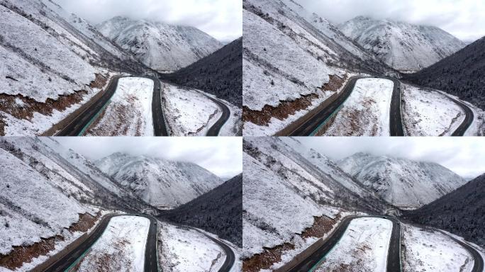 川西 航拍 雪山 冬季 旅行 牦牛 放牧