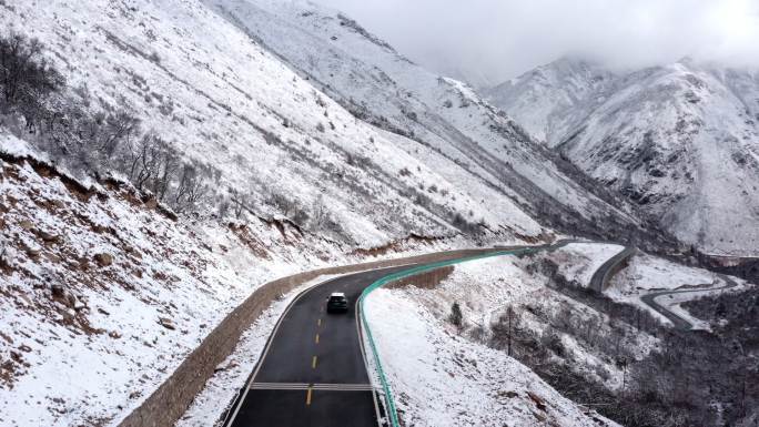 川西 航拍 雪山 冬季 旅行 牦牛 放牧