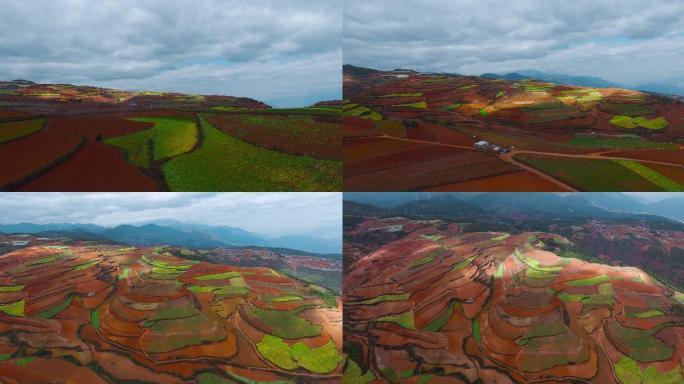 红土地视频中国云南东川红色耕地