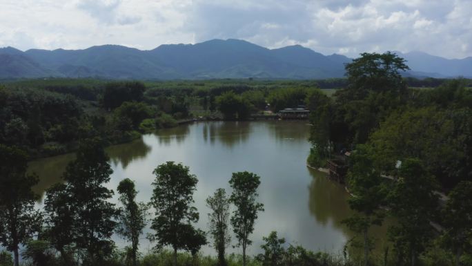 白沙绿茶园陨石坑的茶叶种植园7