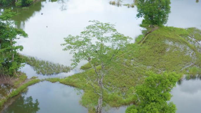 俄贤岭乡村风光云雾山湿地风光7