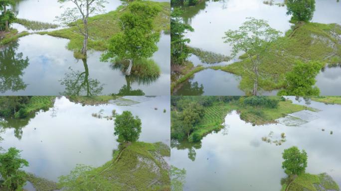 俄贤岭乡村风光云雾山湿地风光7