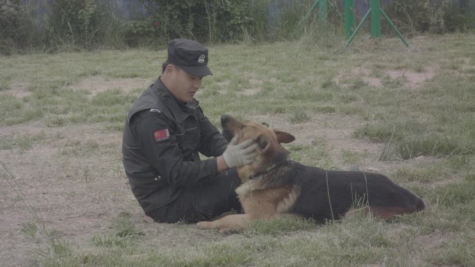 警犬